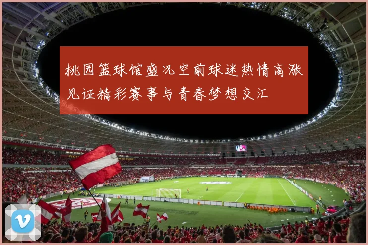 桃园篮球馆盛况空前球迷热情高涨见证精彩赛事与青春梦想交汇