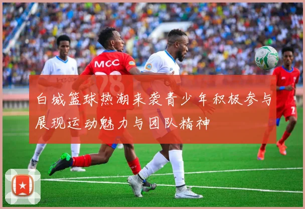 白城篮球热潮来袭青少年积极参与展现运动魅力与团队精神