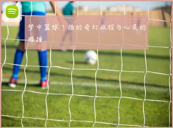 梦中篮球飞扬的奇幻旅程与心灵的碰撞