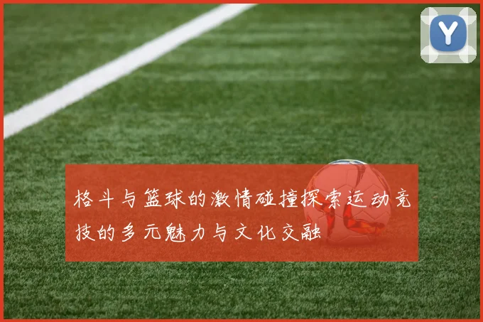 格斗与篮球的激情碰撞探索运动竞技的多元魅力与文化交融