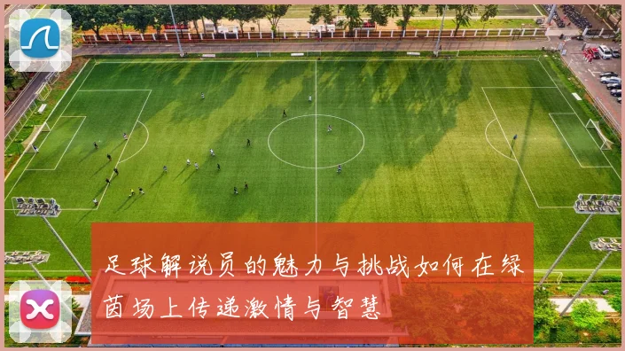 足球解说员的魅力与挑战如何在绿茵场上传递激情与智慧